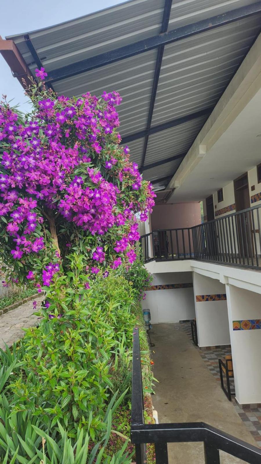 Fabhotel Tranquil Heights קודאיקנאל מראה חיצוני תמונה